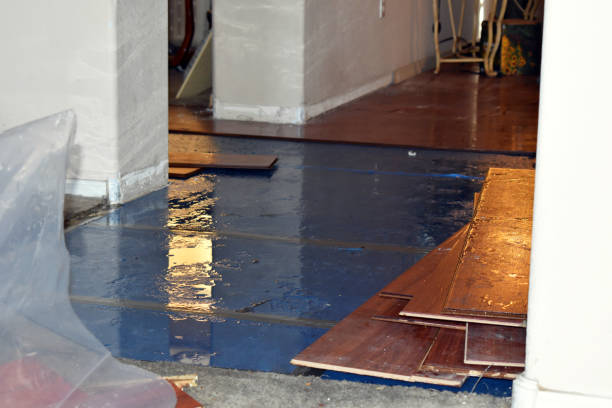 Professional Burst Pipe Cleanup technician working in Calais, ME
